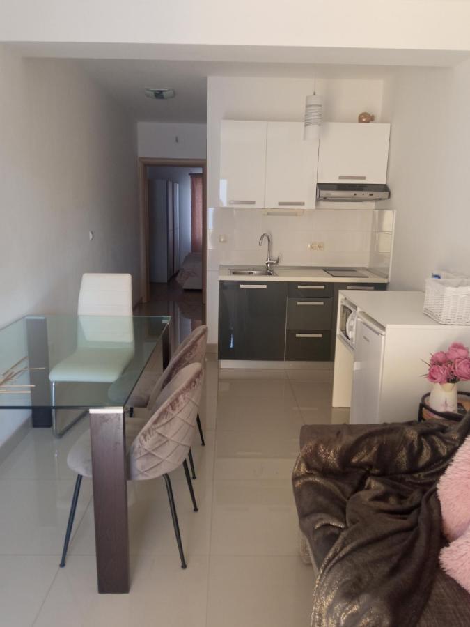 Apartments Tomic 보디체 외부 사진